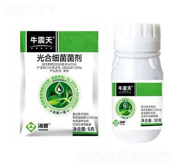 ��ϼ�������-ţ����-���՘�