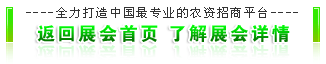 c鿴չԔ